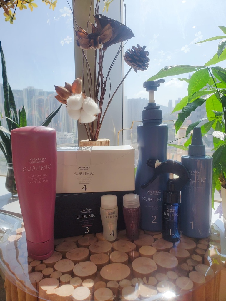 Shiseido Sublimic Hair Treatment